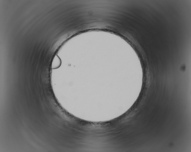 X0000115780834200912241809