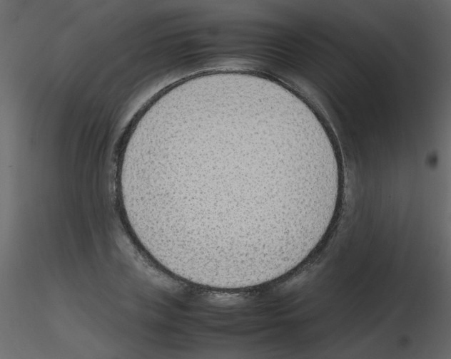 X0000115780835200912241809