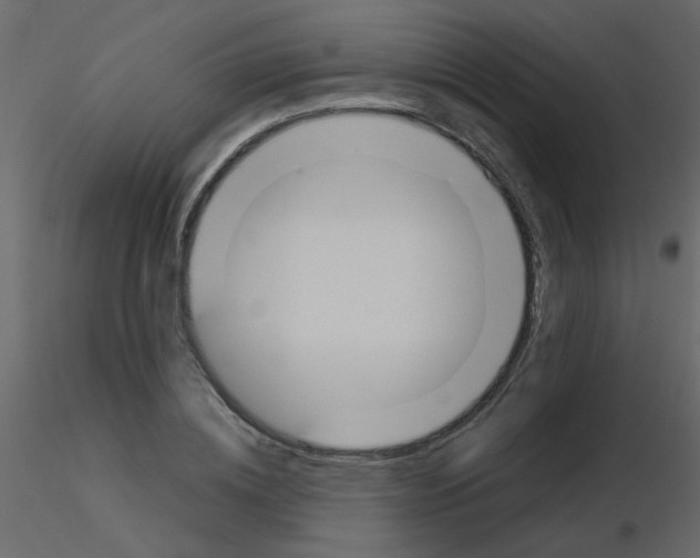 X0000115780836200912241809