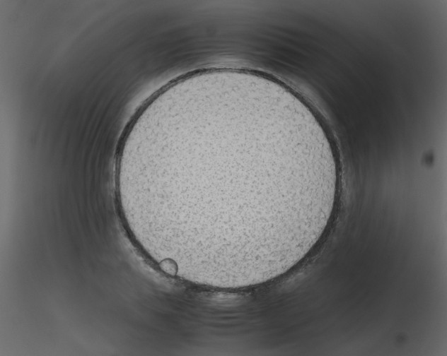 X0000115780839200912241809