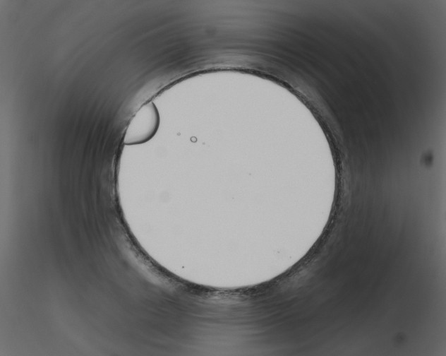 X0000115780842200912241809