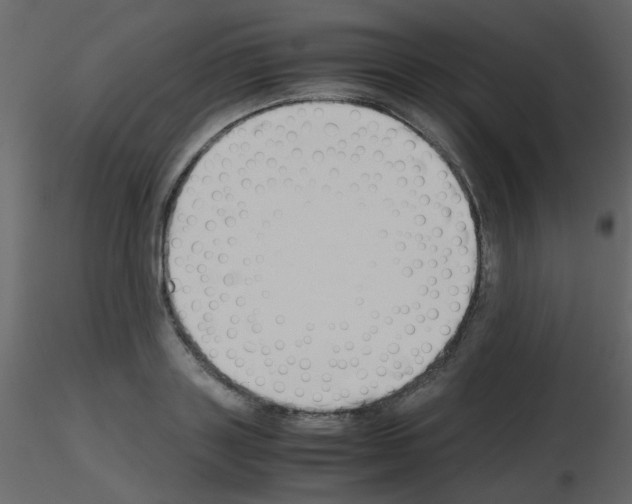 X0000115780843200912241809