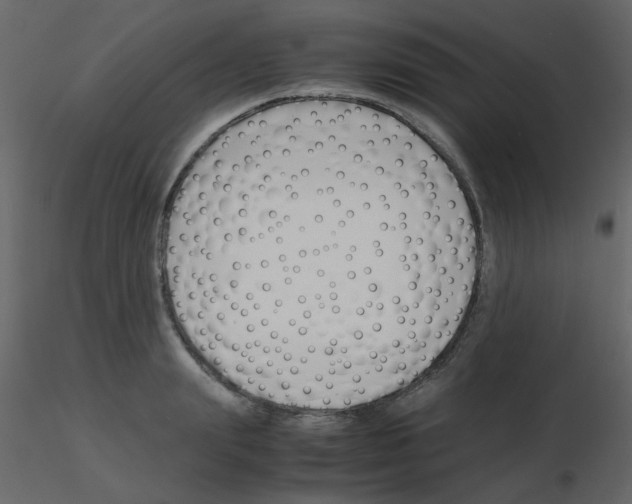 X0000115780847200912241809