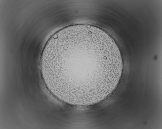 X0000115780848200912241809