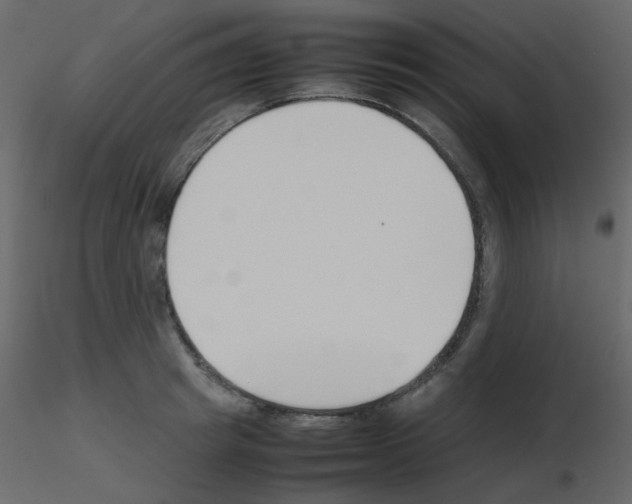 X0000115780849200912241809