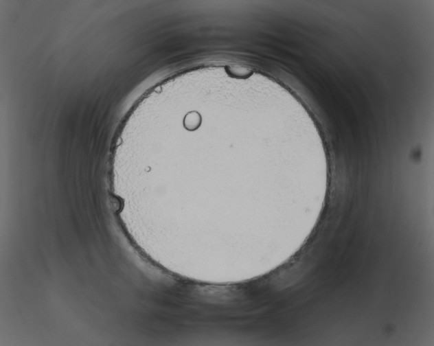 X0000115780853200912241809