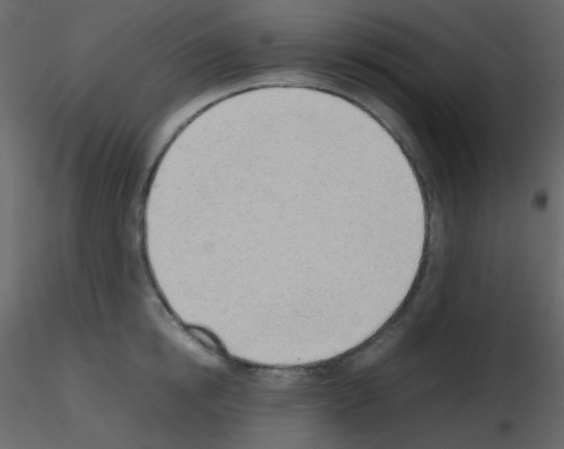 X0000115780854200912241809