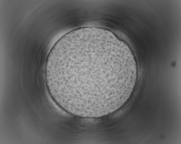 X0000115780855200912241809