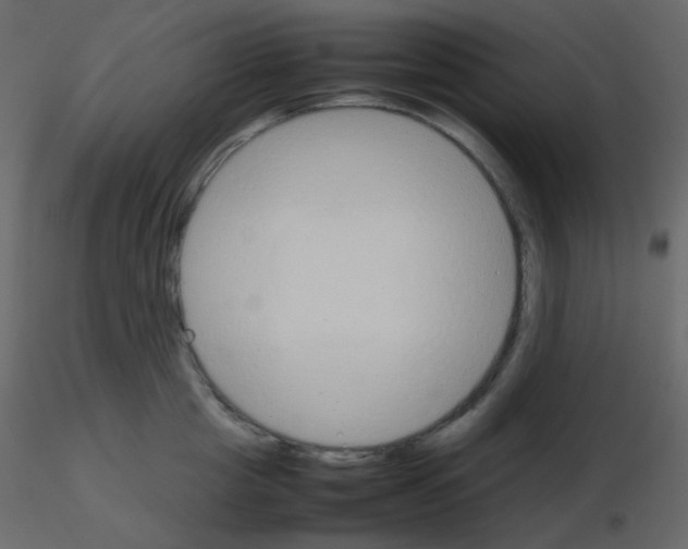 X0000115780857200912241809