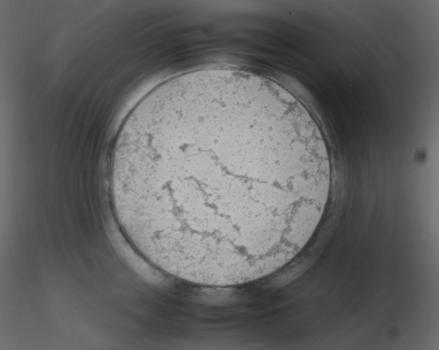 X0000115780859200912241809