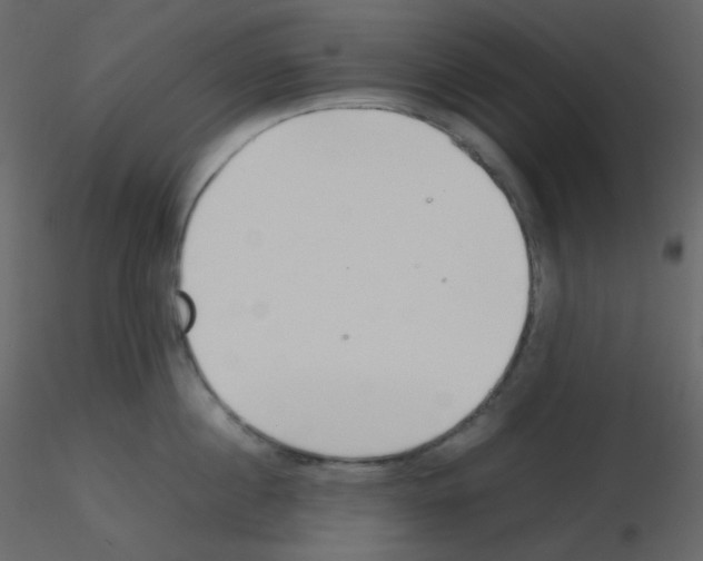 X0000115780860200912241809