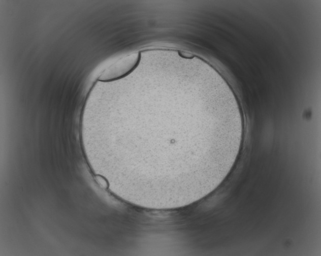 X0000115780862200912241809