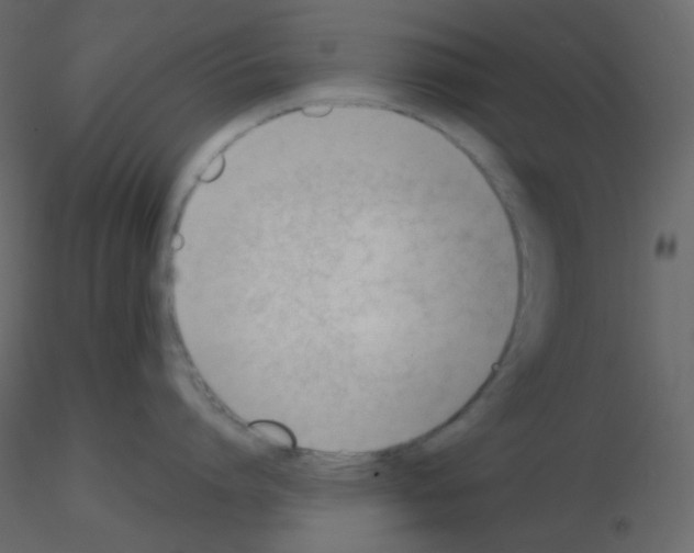 X0000115780864200912241809