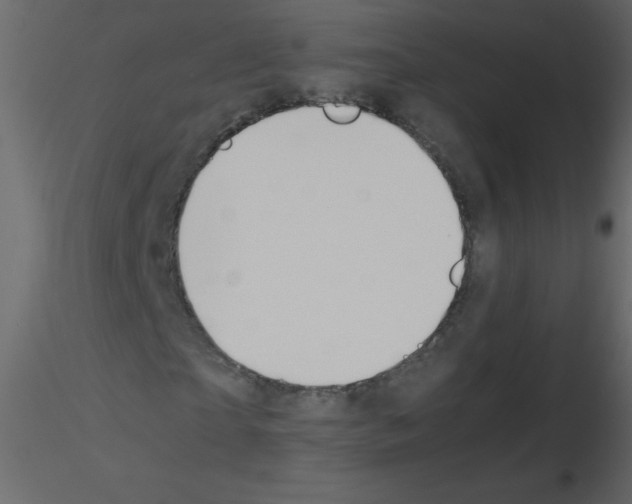 X0000115780865200912241809