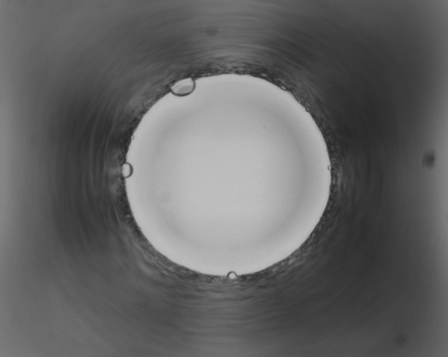 X0000115780868200912241808