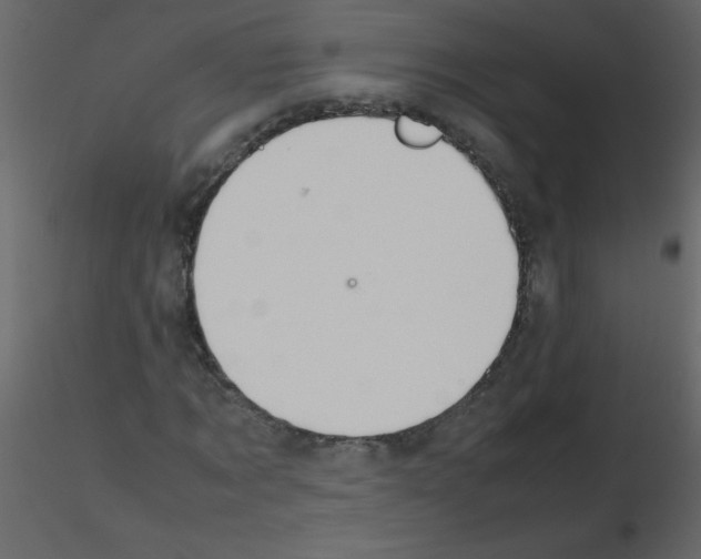 X0000115780869200912241808