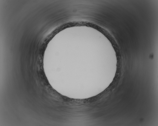 X0000115780871200912241808