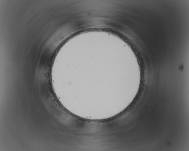 X0000115780873200912241808