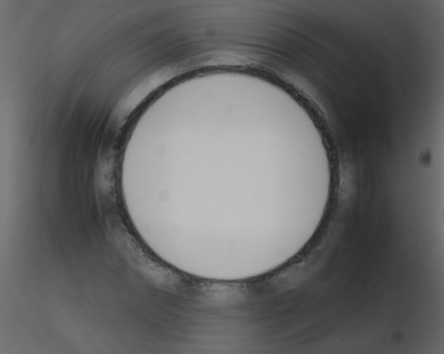 X0000115780874200912241808