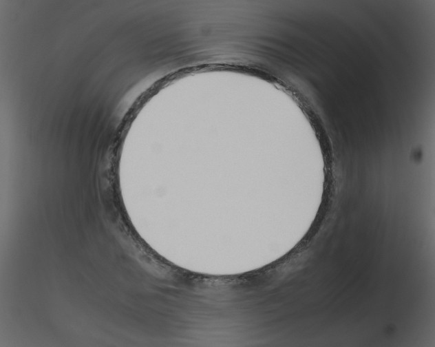 X0000115780875200912241808