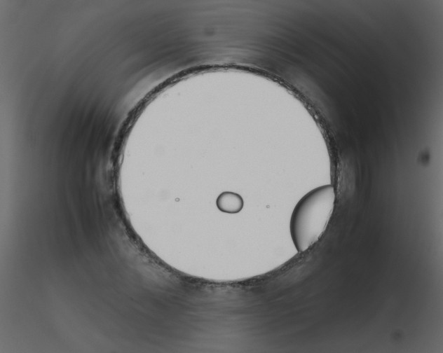 X0000115780876200912241808