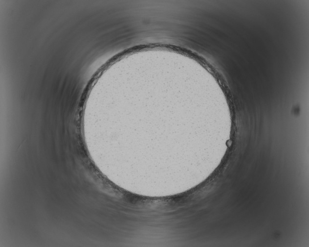 X0000115780879200912241808