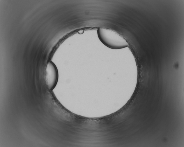 X0000115780880200912241808