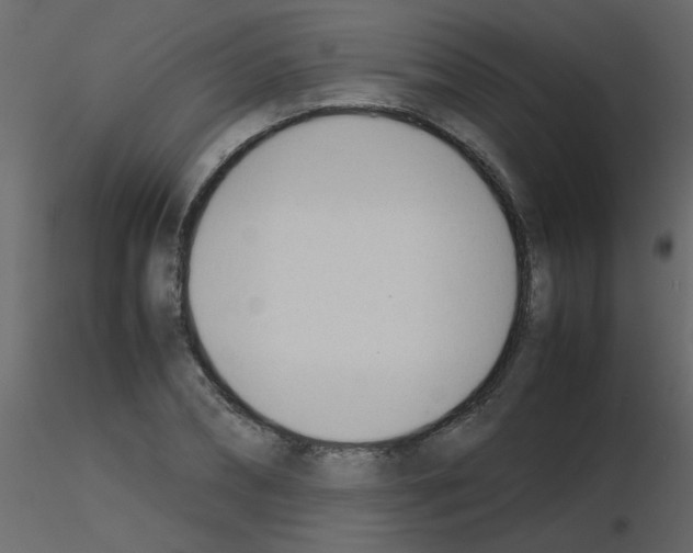 X0000115780882200912241808