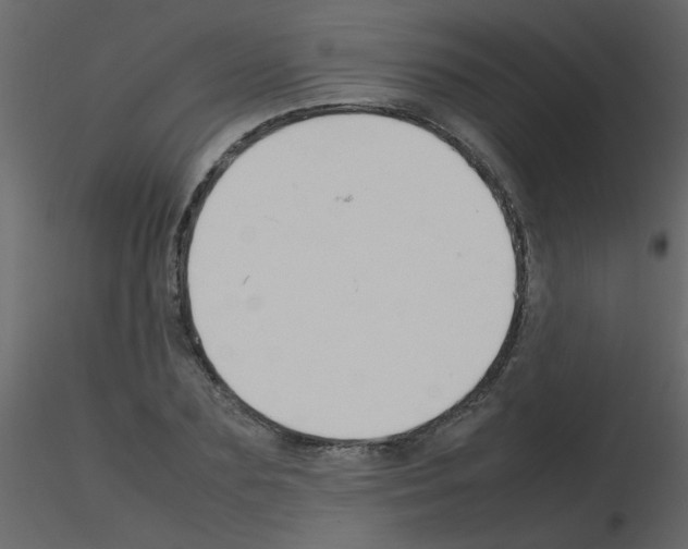 X0000115780883200912241808