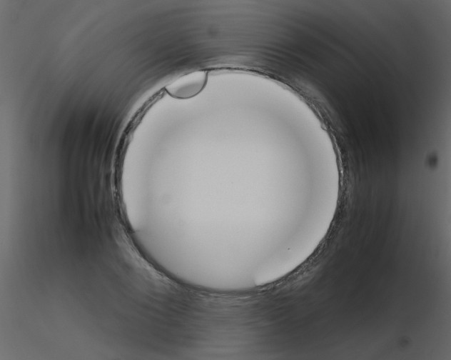 X0000115780884200912241808