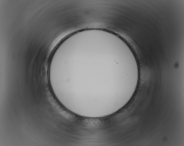 X0000115780886200912241808