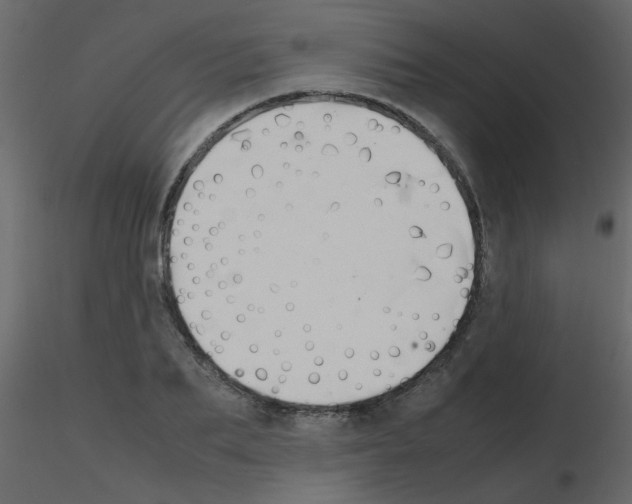 X0000115780887200912241808