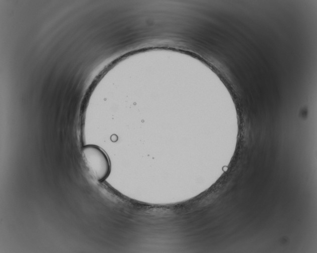 X0000115780888200912241808