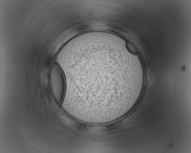 X0000115780889200912241808