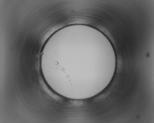 X0000115780890200912241808