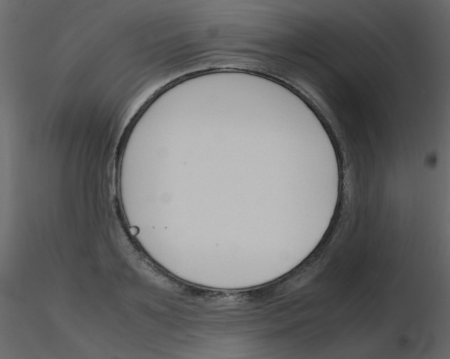 X0000115780891200912241808