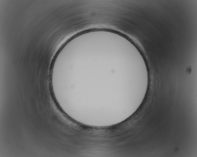 X0000115780895200912241808