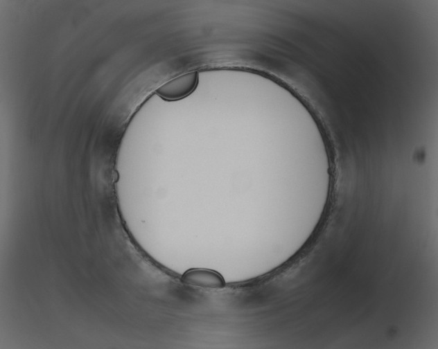 X0000115780897200912241808