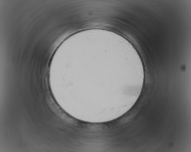 X0000115780899200912241808