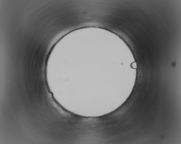 X0000115780902200912241808