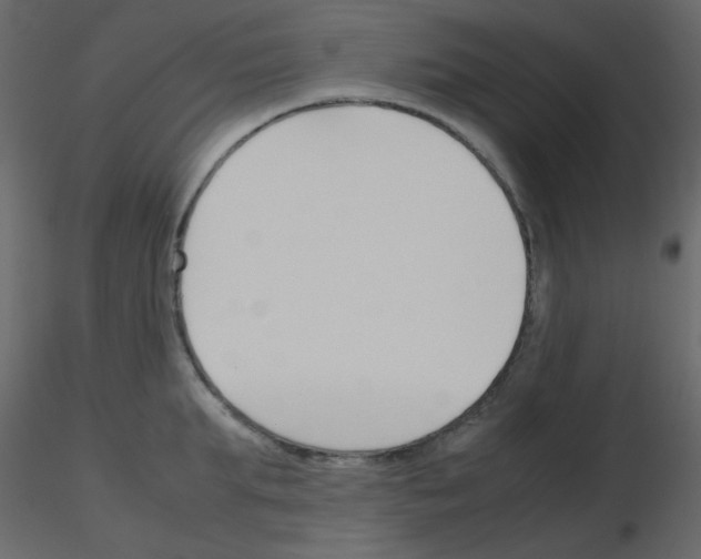 X0000115780903200912241808