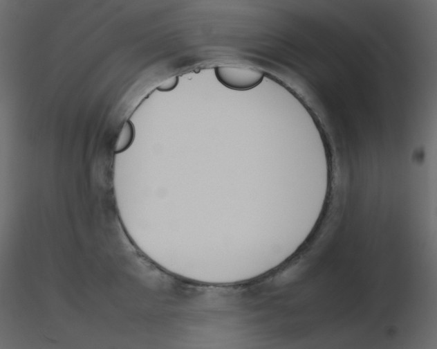 X0000115780905200912241808