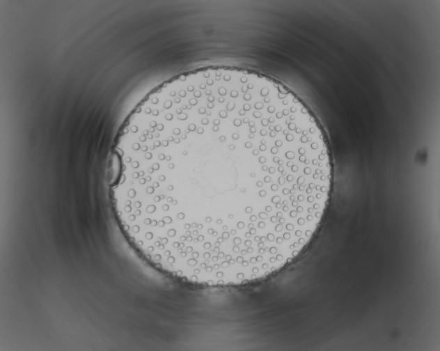 X0000115780906200912241808