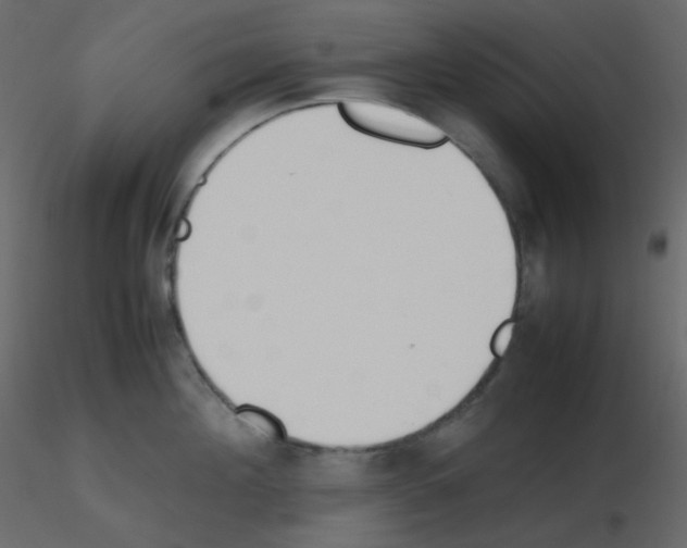 X0000115780908200912241808