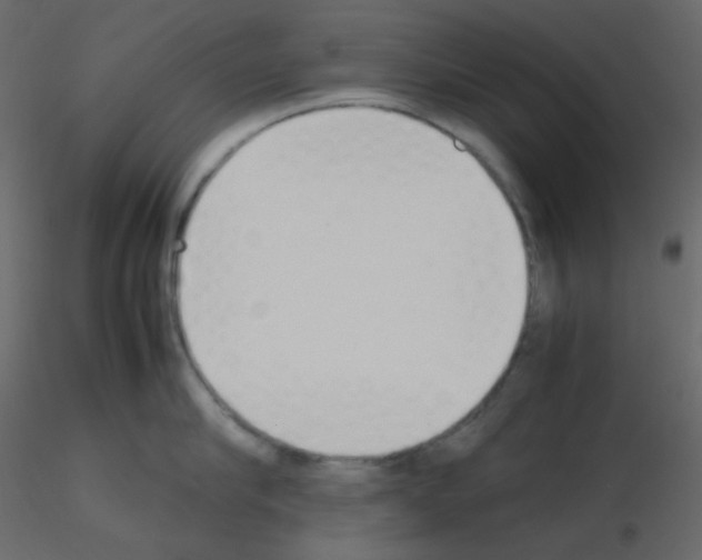 X0000115780910200912241808