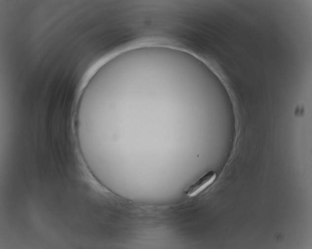 X0000115780912200912241808