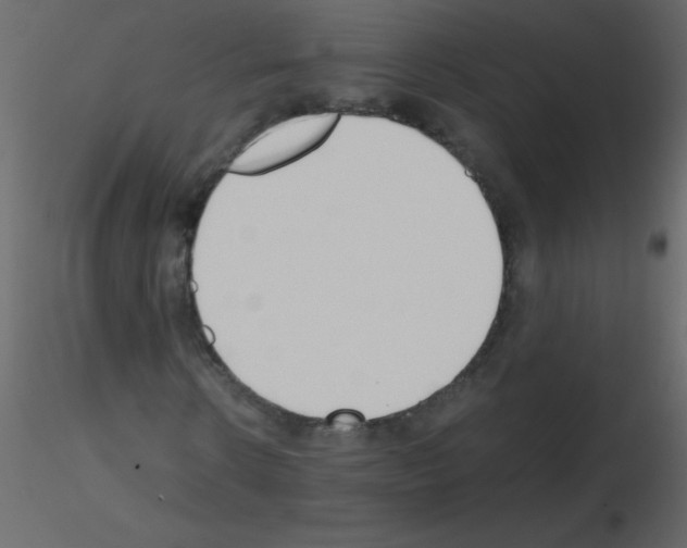 X0000115780914200912241807