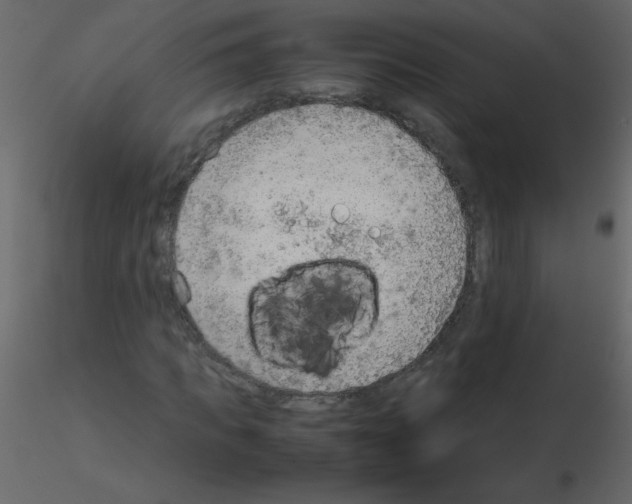 X0000115780917200912241807