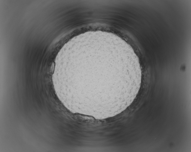 X0000115780919200912241807