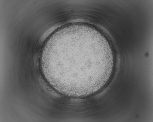 X0000115780921200912241807